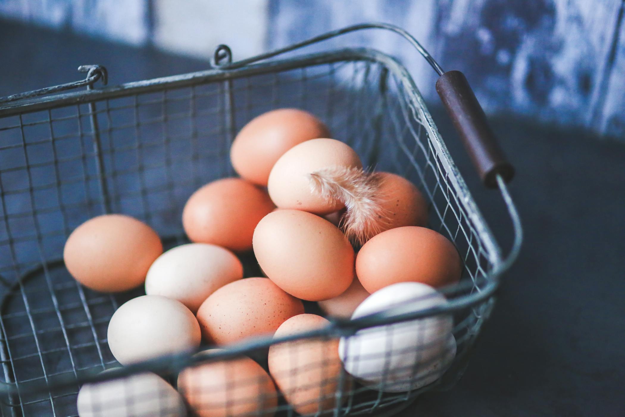 A close-up of farm fresh eggs in a metal basket, featuring a delicate feather that symbolizes a renter asking for approval from their landlord for chickens.