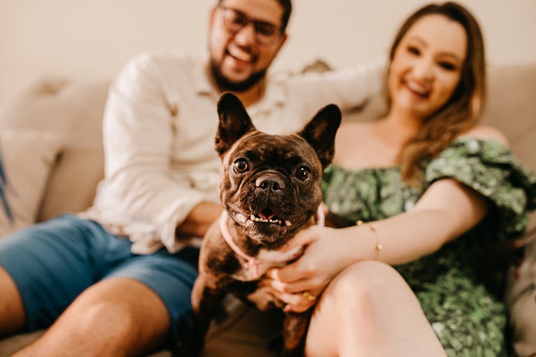 A joyful couple relaxing with their adorable French bulldog inside their rental property.