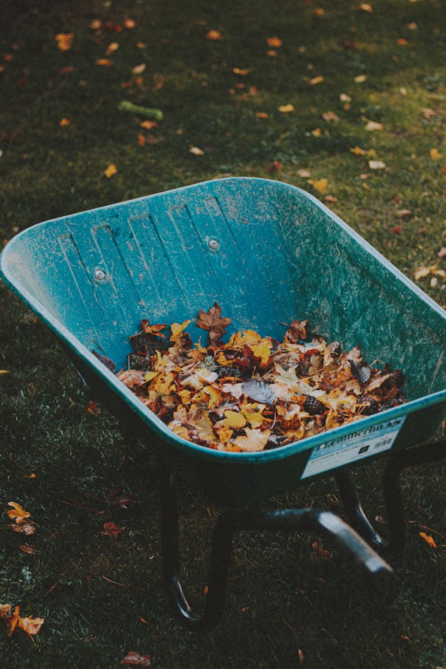 From above of garden cart with bright autumn leaves on grass meadow in daylight